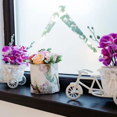 Quarto em Acomodações Particulares Casa Erty